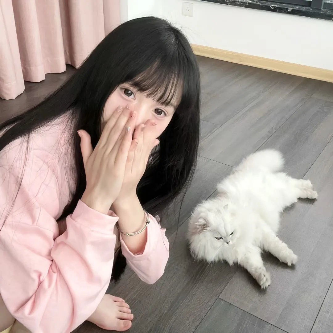 林肯律师第一季